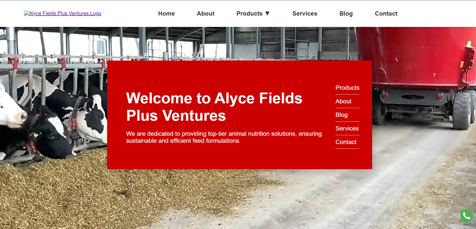 Alyce Fields Plus Ventures