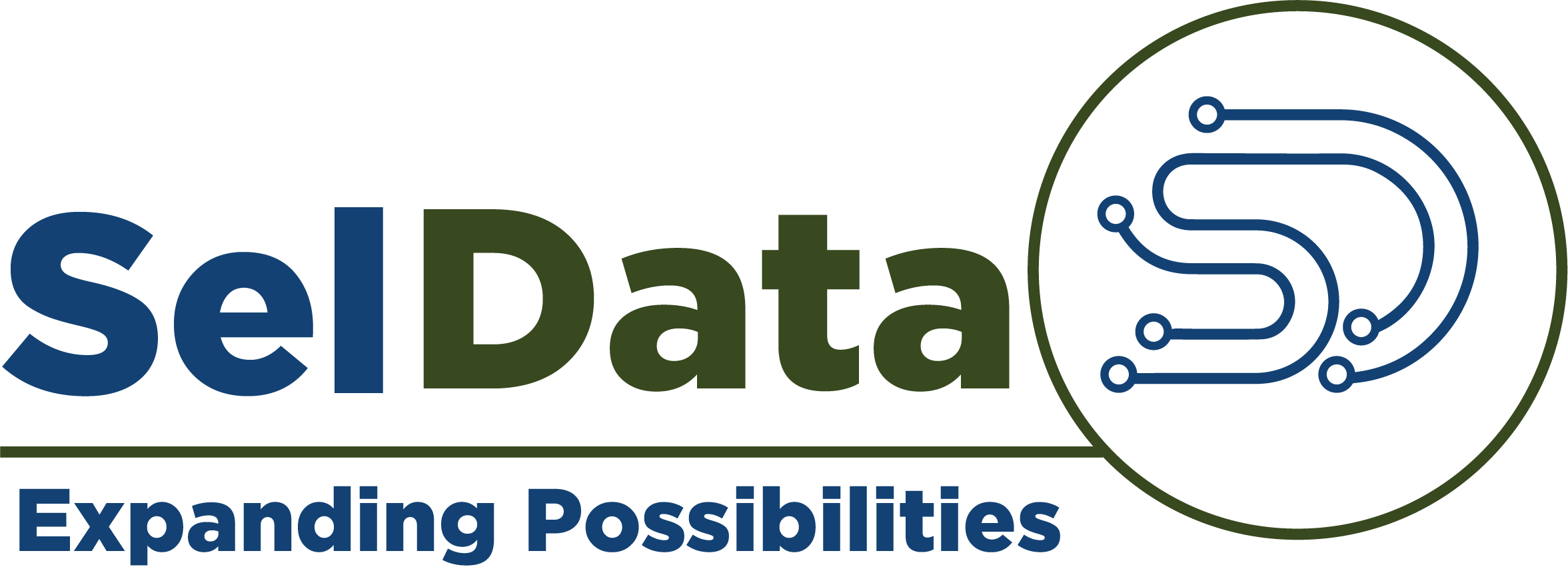SelData Logo